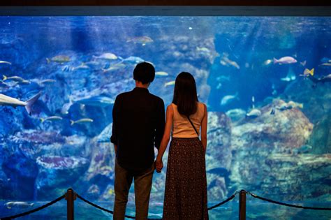 初 デート 水族館 別れる|水族館デートは付き合う前のデートに最適！7つの .